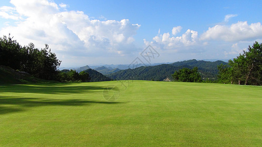 高尔夫果岭高尔夫草坪背景