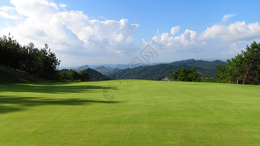 高尔夫草坪背景图片