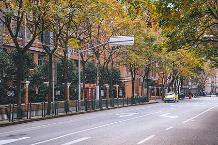 秋天的道路路边环境背景