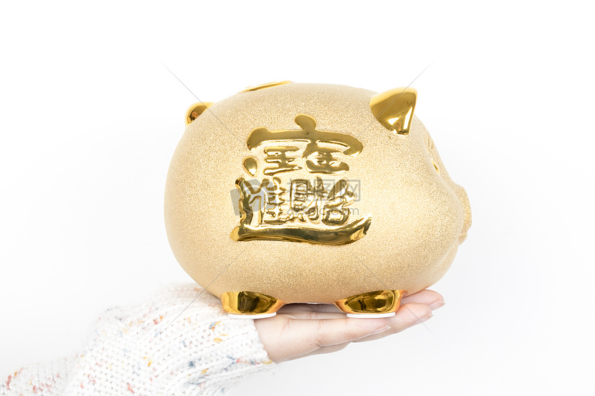 投资理财金猪储蓄罐图片