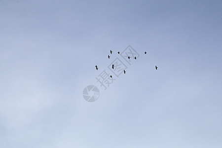 阳光刺眼天空背景