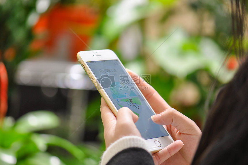 手拿手机素材摄影图片免费下载_背景\/素材图库