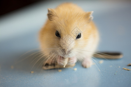 摄图网-正版摄影图片免费下载_昨日新增