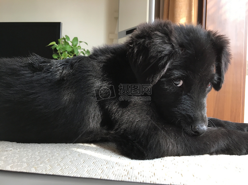 豆乐图片素材_免费下载_jpg图片格式_VRF高清