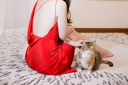 穿红色剪裁礼服女人与猫高清图片