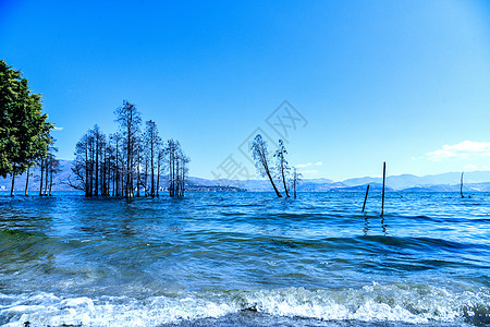 云南昆明大理洱海风景云南大理下关洱海大理古城背景