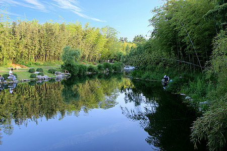 西湖植物园图片