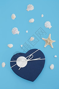 情人节爱心礼盒海洋贝壳海星在浅蓝色背景上高清图片