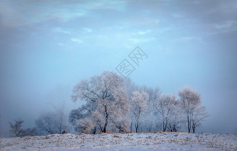 雾凇岛风景雪美人背景