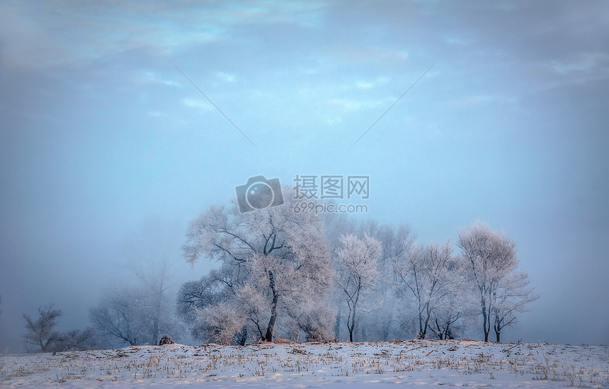 雪美人图片