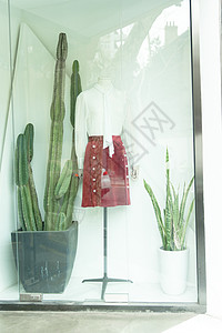 清新文艺绿植女装橱窗背景图片