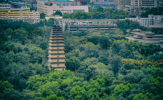 盛夏里的西安小雁塔远眺图片