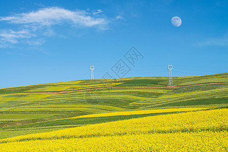 大美风光夏至草木绿高清图片