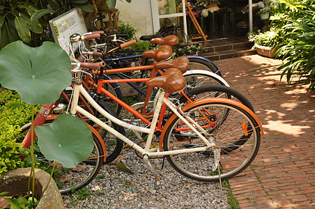 停靠的单车绿色店子高清图片