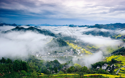 寒潭云海油菜花海背景