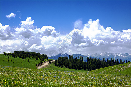 新疆喀拉峻喀拉峻大草原背景