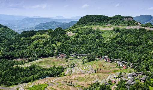 水稻蓝天重庆风景背景