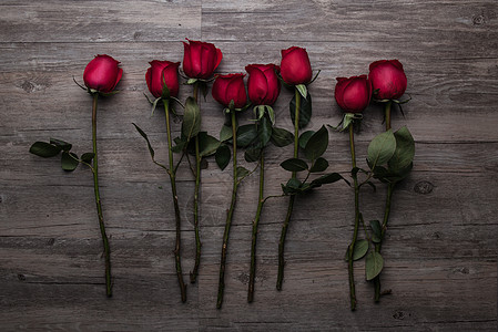 红玫瑰特写带刺的玫瑰高清图片