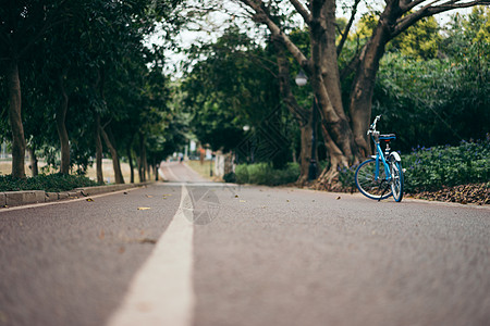 绿道校园道路高清图片