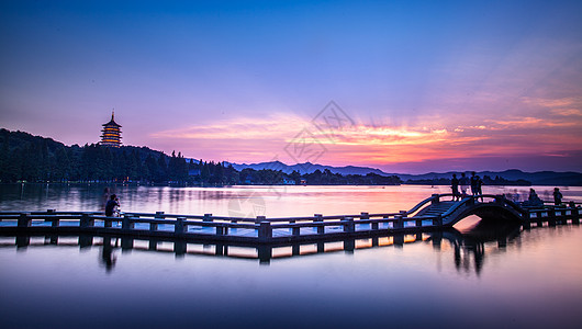 游客西湖夜景全景背景