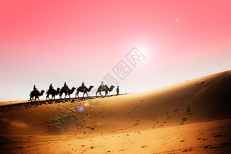 黎明新疆鸣沙山沙漠驼铃背景