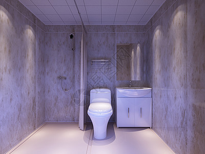 灰色砖的卫生间效果图图片