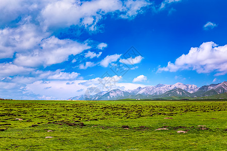 蓝天草坪草原背景