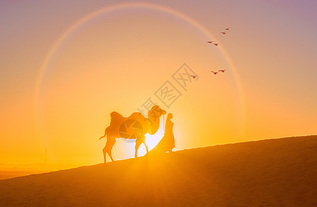 沙漠骆驼唯美剪影背景