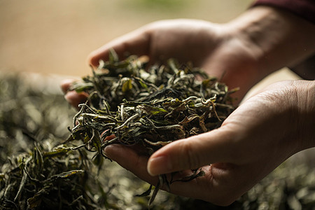 茶叶茶园背景