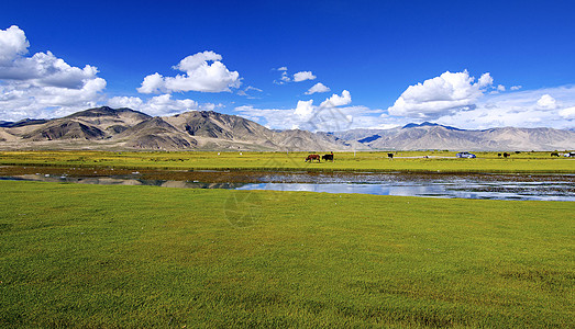 西藏风光高原草场高清图片