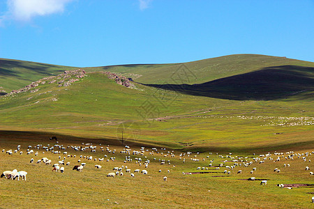 卡带的回忆摄影师主页_摄图网图库