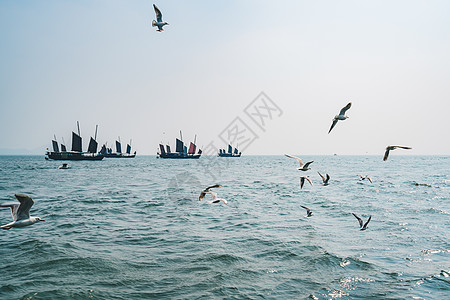 太湖帆船无锡鼋头渚太湖背景