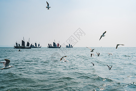 太湖鼋头渚风景区无锡鼋头渚太湖背景