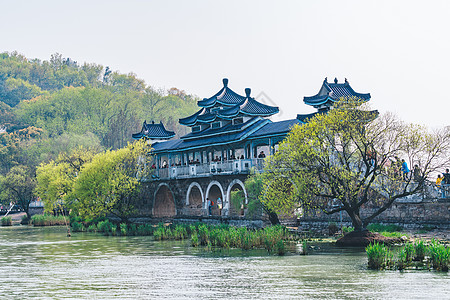 蓝天鸟无锡鼋头渚太湖背景