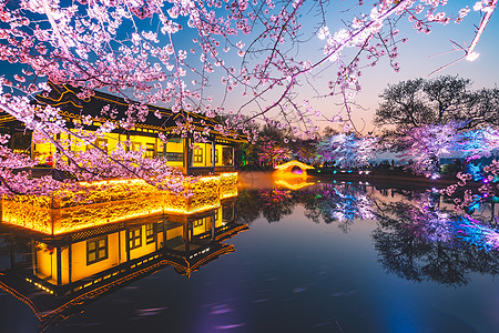 太湖鼋头渚风景区无锡鼋头渚多彩樱花背景