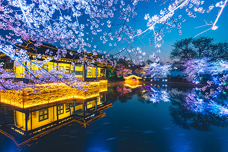 夜樱花无锡鼋头渚樱花背景