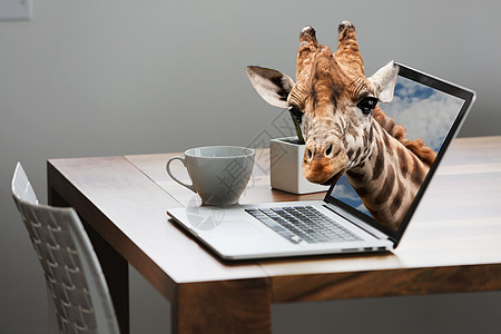 可爱的桌子长颈鹿钻出电脑屏幕自然与科技结合设计图片
