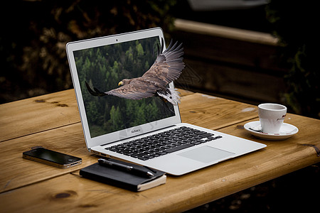 鹰钻进电脑里自然与科技结合图片