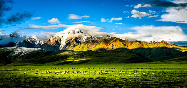 雪山绿色草场高清图片