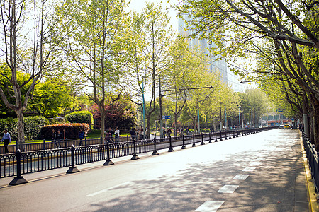 机动车道马路上的春天背景