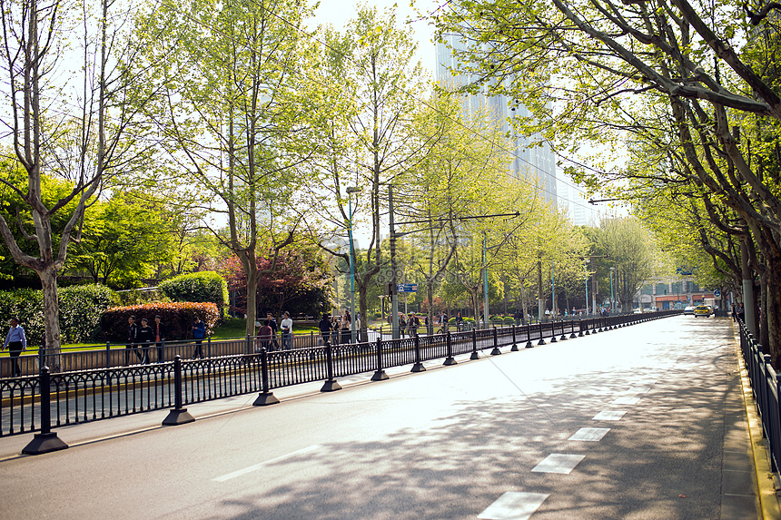 马路上的春天图片素材_免费下载_jpg图片格式