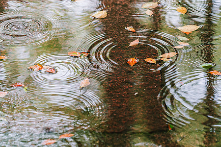 水图案水中涟漪落叶背景