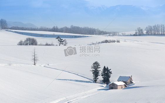 白雪中的美景图片