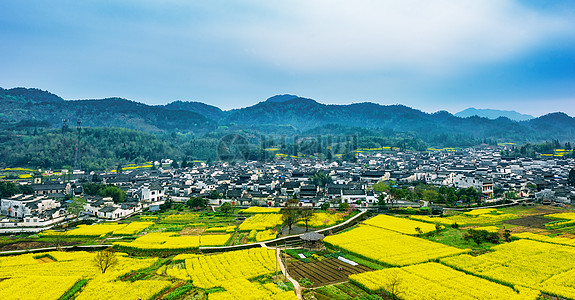 黄山宏村村落开满了油菜花背景