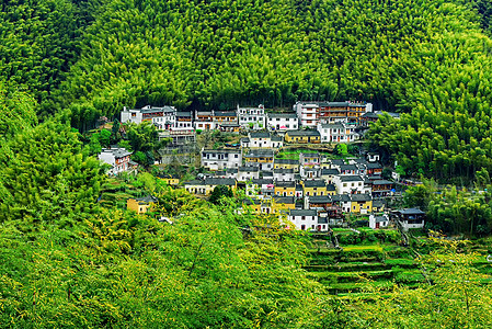 竹子建筑竹林竹海村庄村落背景