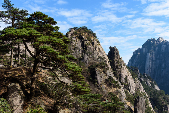 黄山奇石怪松图片