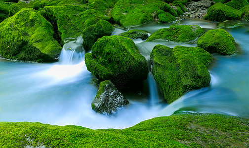 山涧溪水青苔 苔藓背景