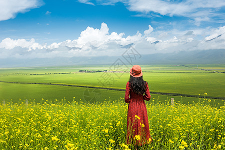 旅行的女生门源油菜花海背景