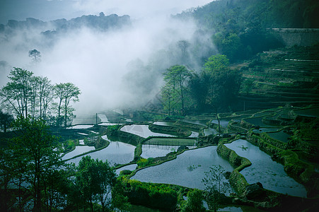 云南梯田乡村风光高清图片