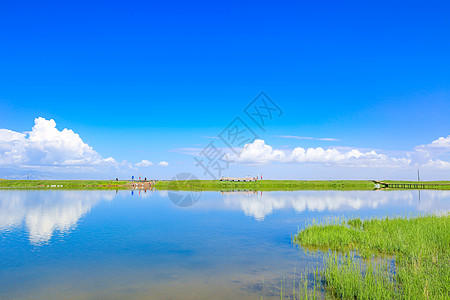 夏日康乐草原背景